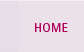 home button